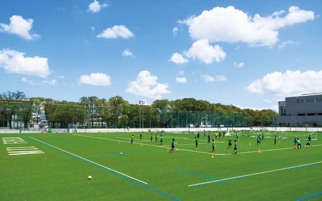 MII FIELD