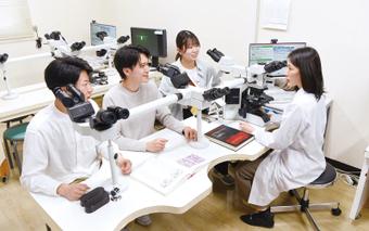 正確かつ迅速な病理診断を可能にするためには、優れた病理組織標本作製が必要不可欠です。この科目では、実際の臨床現場ならびに病理学的研究に応用できる知識や技術を身につけ、標本作製の技術を学びます。